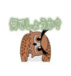 フクロウの敬語スタンプ（個別スタンプ：24）