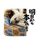 I♡海人 Kaito（個別スタンプ：2）