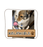 I♡海人 Kaito（個別スタンプ：4）