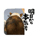I♡海人 Kaito（個別スタンプ：6）
