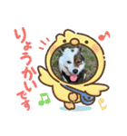 I♡海人 Kaito（個別スタンプ：8）