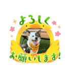 I♡海人 Kaito（個別スタンプ：9）