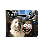 I♡海人 Kaito（個別スタンプ：10）