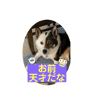 I♡海人 Kaito（個別スタンプ：14）