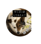 I♡海人 Kaito（個別スタンプ：15）