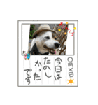I♡海人 Kaito（個別スタンプ：16）