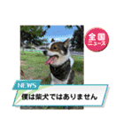 I♡海人 Kaito（個別スタンプ：21）