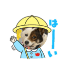 I♡海人 Kaito（個別スタンプ：24）