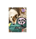 I♡海人 Kaito（個別スタンプ：25）