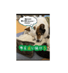 I♡海人 Kaito（個別スタンプ：26）