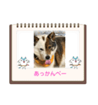 I♡海人 Kaito（個別スタンプ：27）