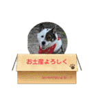 I♡海人 Kaito（個別スタンプ：30）