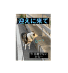 I♡海人 Kaito（個別スタンプ：31）