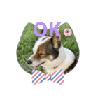 I♡海人 Kaito（個別スタンプ：32）