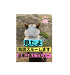 I♡海人 Kaito（個別スタンプ：33）