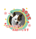 I♡海人 Kaito（個別スタンプ：37）