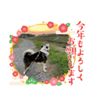 I♡海人 Kaito（個別スタンプ：38）