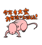 ハダカデバネズミのクリスマス＆元旦挨拶（個別スタンプ：3）