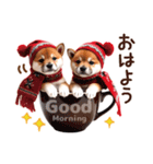 かわいい♡柴犬♡冬、正月、クリスマス（個別スタンプ：1）