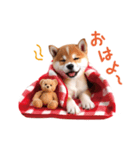 かわいい♡柴犬♡冬、正月、クリスマス（個別スタンプ：2）