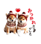 かわいい♡柴犬♡冬、正月、クリスマス（個別スタンプ：3）