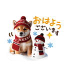 かわいい♡柴犬♡冬、正月、クリスマス（個別スタンプ：5）