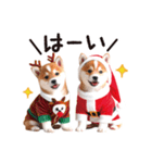 かわいい♡柴犬♡冬、正月、クリスマス（個別スタンプ：10）