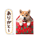 かわいい♡柴犬♡冬、正月、クリスマス（個別スタンプ：12）