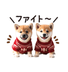 かわいい♡柴犬♡冬、正月、クリスマス（個別スタンプ：15）