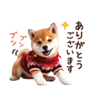 かわいい♡柴犬♡冬、正月、クリスマス（個別スタンプ：19）