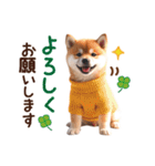 かわいい♡柴犬♡冬、正月、クリスマス（個別スタンプ：20）