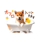 かわいい♡柴犬♡冬、正月、クリスマス（個別スタンプ：23）