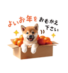 かわいい♡柴犬♡冬、正月、クリスマス（個別スタンプ：38）