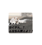 『まさに楽園』（個別スタンプ：5）