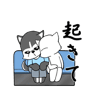 シベリアンハスキーとの日常（個別スタンプ：17）