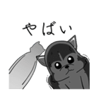 シベリアンハスキーとの日常（個別スタンプ：21）