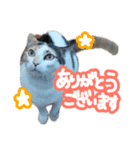 ななちゃん Ver.2（個別スタンプ：1）