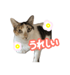 ななちゃん Ver.2（個別スタンプ：2）