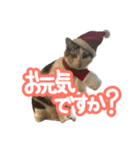ななちゃん Ver.2（個別スタンプ：6）