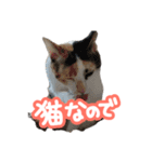 ななちゃん Ver.2（個別スタンプ：12）