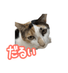 ななちゃん Ver.2（個別スタンプ：13）