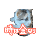 ななちゃん Ver.2（個別スタンプ：15）