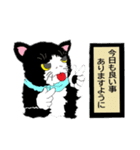 風来の猫達！Vol.05（個別スタンプ：23）