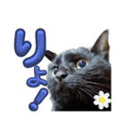 我が家の黒猫の福ちゃん（個別スタンプ：2）