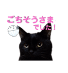 我が家の黒猫の福ちゃん（個別スタンプ：10）