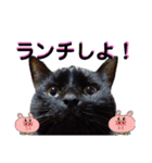 我が家の黒猫の福ちゃん（個別スタンプ：14）