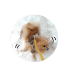 シンプルな はる②   雪と戯れる（個別スタンプ：23）