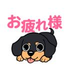 もも社長のLINEスタンプ（個別スタンプ：5）