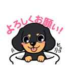 もも社長のLINEスタンプ（個別スタンプ：9）