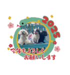 モコマロウニ（個別スタンプ：6）